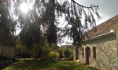 Fekete Kutya Vendégház Vindornyalak