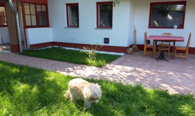 Tisza-tavi Amúrlak Poroszló