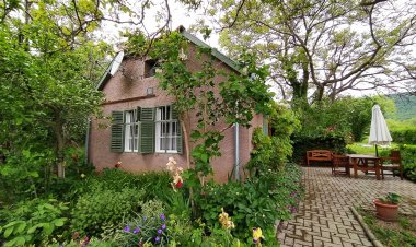 Diófás Vendégház Kővágószőlős