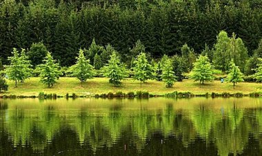 Tavi-Vendégház Őrség Szentgotthárd