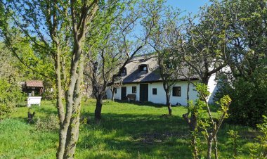 Mandulaliget Apartman Köveskál