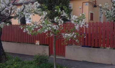 Andrea Vendégház Kaposvár