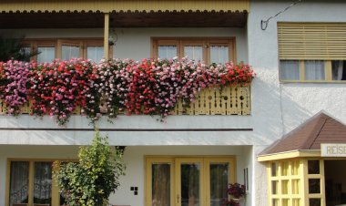 Gerania Ház Vonyarcvashegy