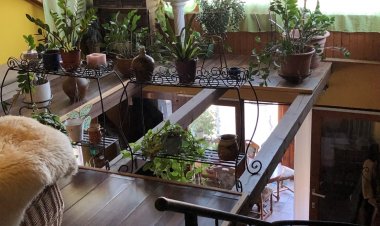 Erika vendégháza Kaposvár