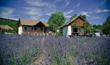 Levendula Vendégház Alsópetény
