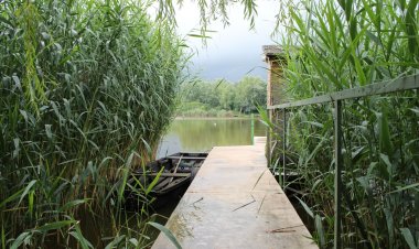 Tiszaug Apartman Tiszaug