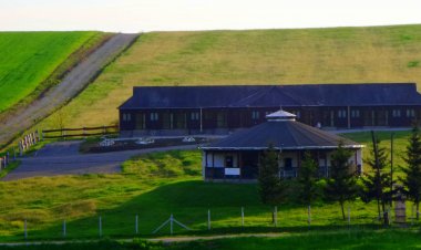 Aranyló Vendégház Alsótelekes