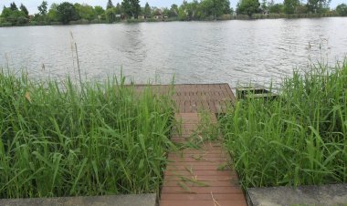 Kirchner Nyaraló Ráckeve