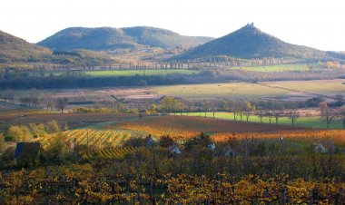 Hortenzia Vendégház Szigliget