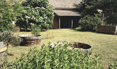 Apartman Vörösdombi Vendégház Cserkút