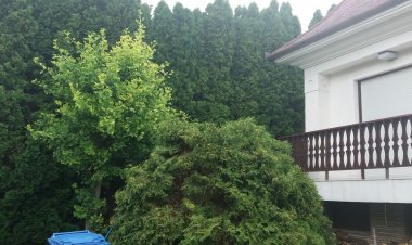 Orgona Vendégház Balatonfüred