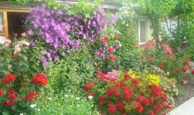 Judit Vendégház Karcag