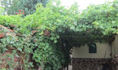 Fülöp-hegy Vendégház Révfülöp