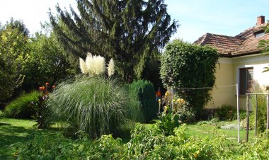 Fenyő Vendégház Badacsony