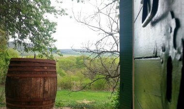 Cottage by the Woods Balatonhenye