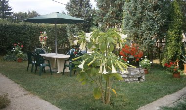 Orgona Vendégház Szilvásvárad