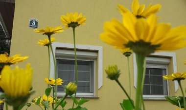 Napocska Vendégház Harkány