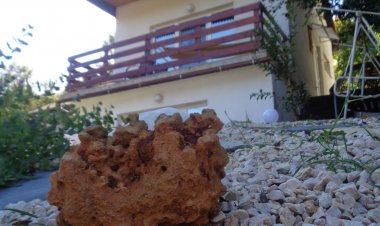 Levendula Vendégház Magyarhertelend