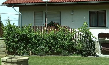 Mecsekgyöngye Tóth Vendégház Magyarhertelend