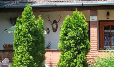 Vadász Vendégház Nagybörzsöny