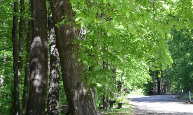 Gerecse Vendégház Süttő