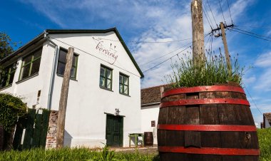 Borvirág Vendégház Palkonya