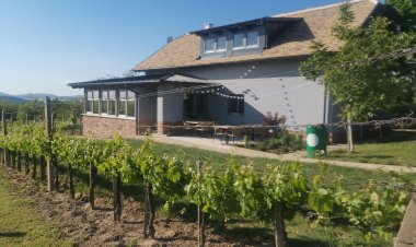 A Zöld Ajtós Ház Balatonlelle