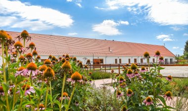 Zarándokszállás Csurgó