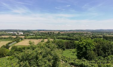 Bodzafa Vendégház Zalaszentgrót