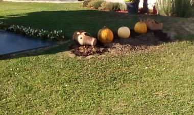 Erdei Vendégház Zalaszentgrót