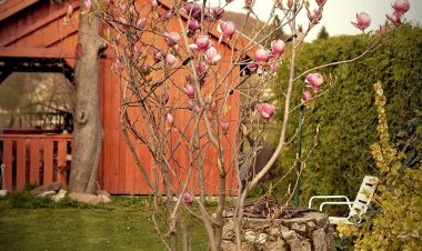 Bakonybél Vendégház Bakonybél