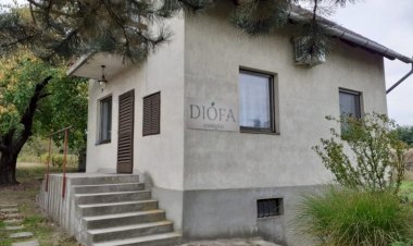 Diófa Vendégház Daruszentmiklós