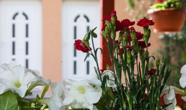 Boróka Vendégház Túrkeve