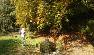 Király Ház Magyarpolány