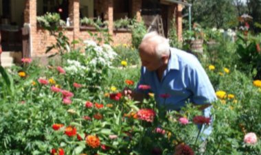 Misu-háza Kerkakutas