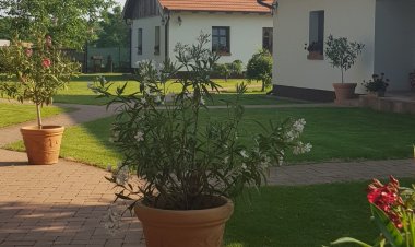 Tóth Vendégház Újfehértó