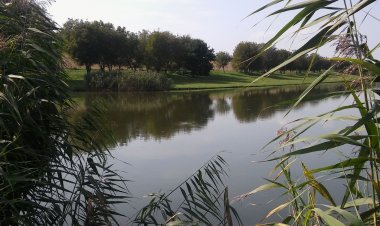 Platán Vendégház Szalánta