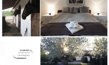 Levendula Vendégház Borsodivánka