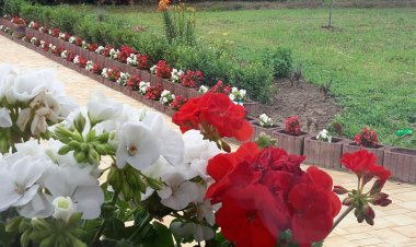 Gombás Vendégház Bakonyszentkirály