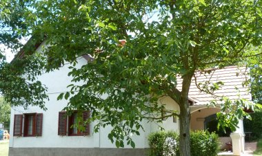 István Pince Vendégház Zamárdi