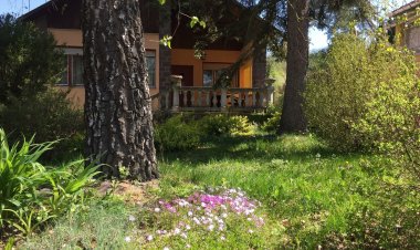 Óhuta Nyaraló Parádóhuta