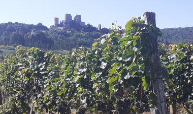 Kispajta Vendégház Bakonyszentkirály