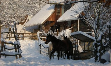 Királykúti Lovasporta Nagymaros
