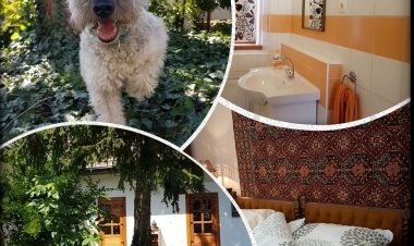 Nagymarosi Vadszőlős Vendégház Nagymaros