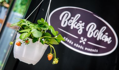 Békés Bohém Vendégház Szarvas