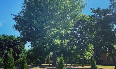 Násfa Boutique Hotel Feldebrő