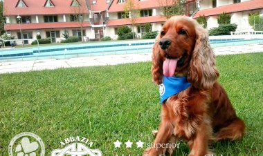 Abbázia Country Club Nemesnép