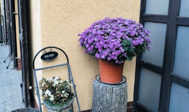 Bobbio Hotel Budapest