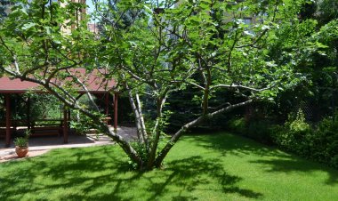 Fig Tree House Minihotel Budapest
