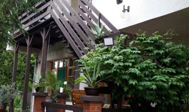 Agave Apartman Velence